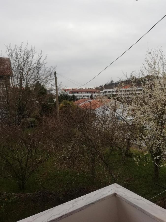 Hospedaria Nunes Pinto Termas de Sao Pedro do Sul Kültér fotó